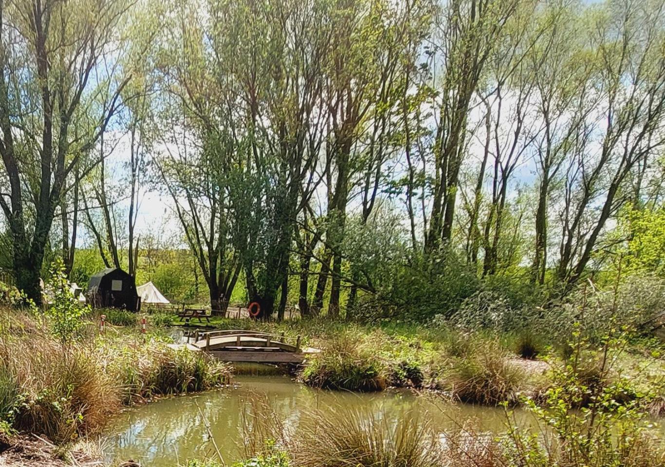 Rum Bridge Fisheries "The Cabin" Hotel Clare Kültér fotó